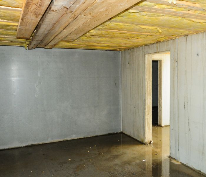water in basement needs foundation repair lansing